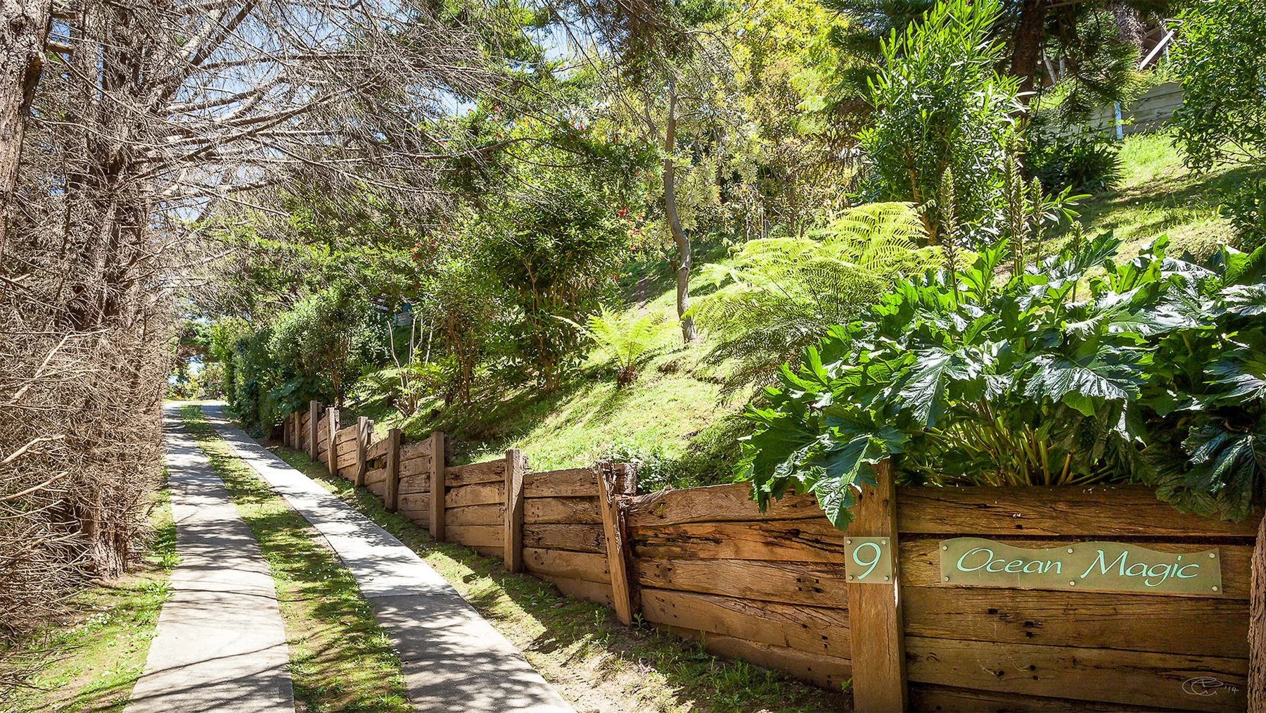 A shaded garden path runs beside a wooden fence and lush greenery.