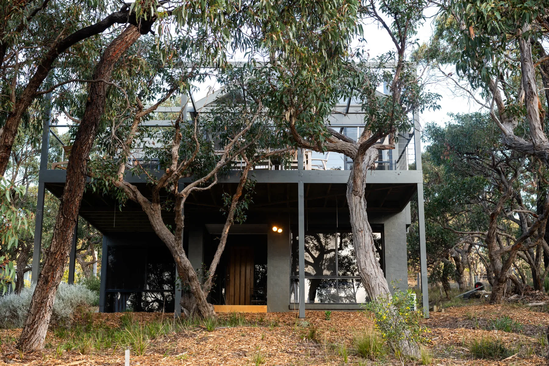 A modern elevated house stands among mature trees in a wooded setting.