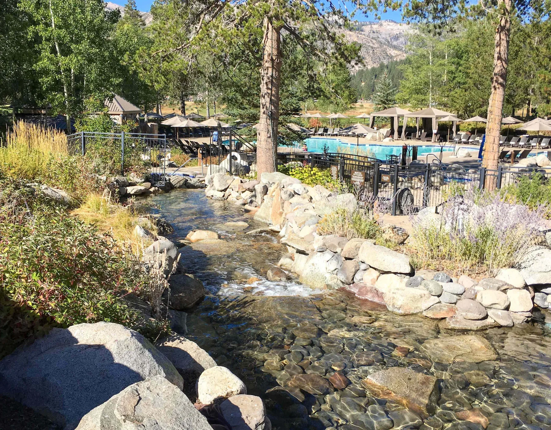 Shared amenity: A rocky stream runs beside an outdoor swimming pool among trees.