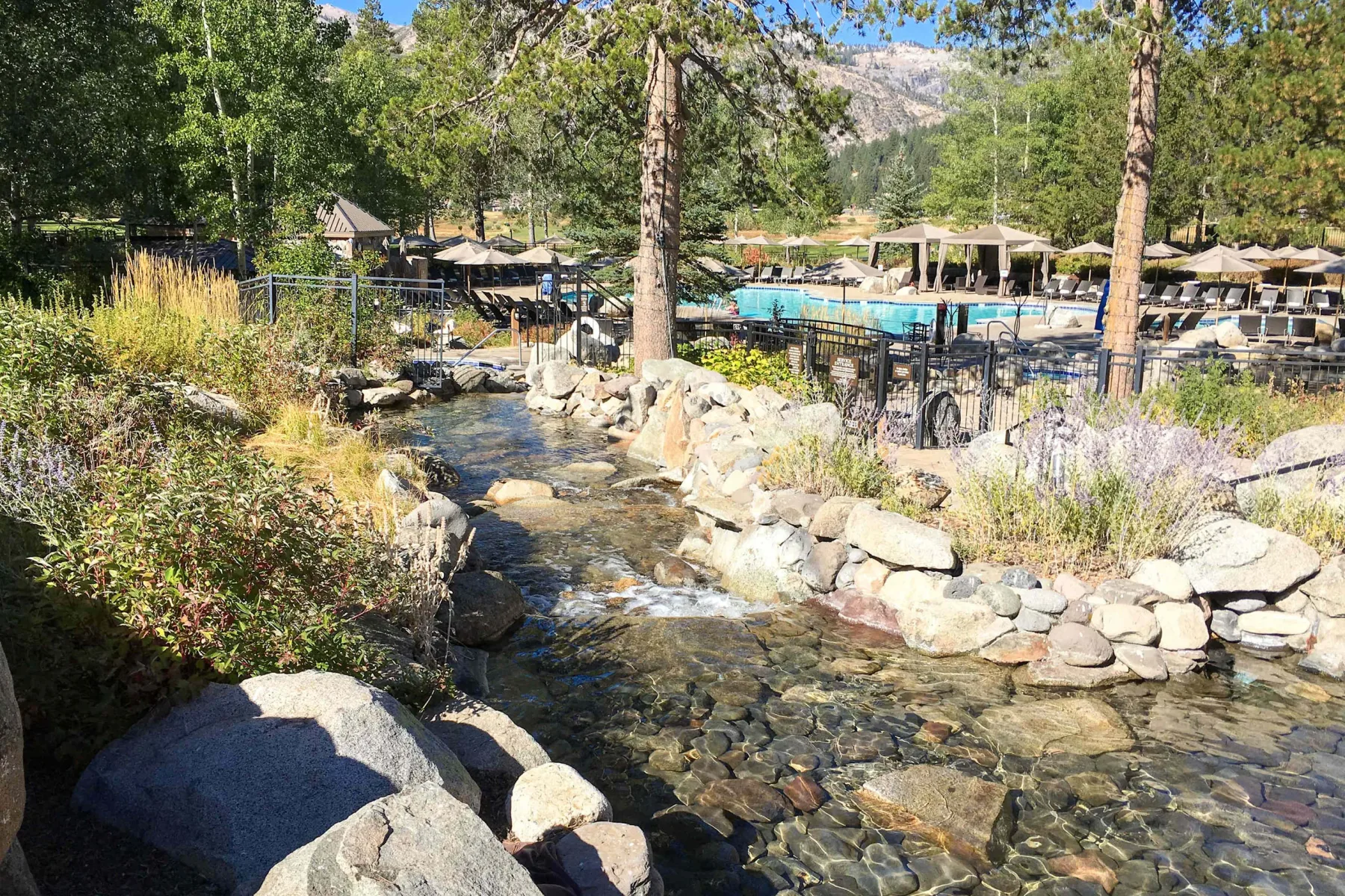 Shared amenity: A rocky stream runs through a landscaped outdoor pool area.