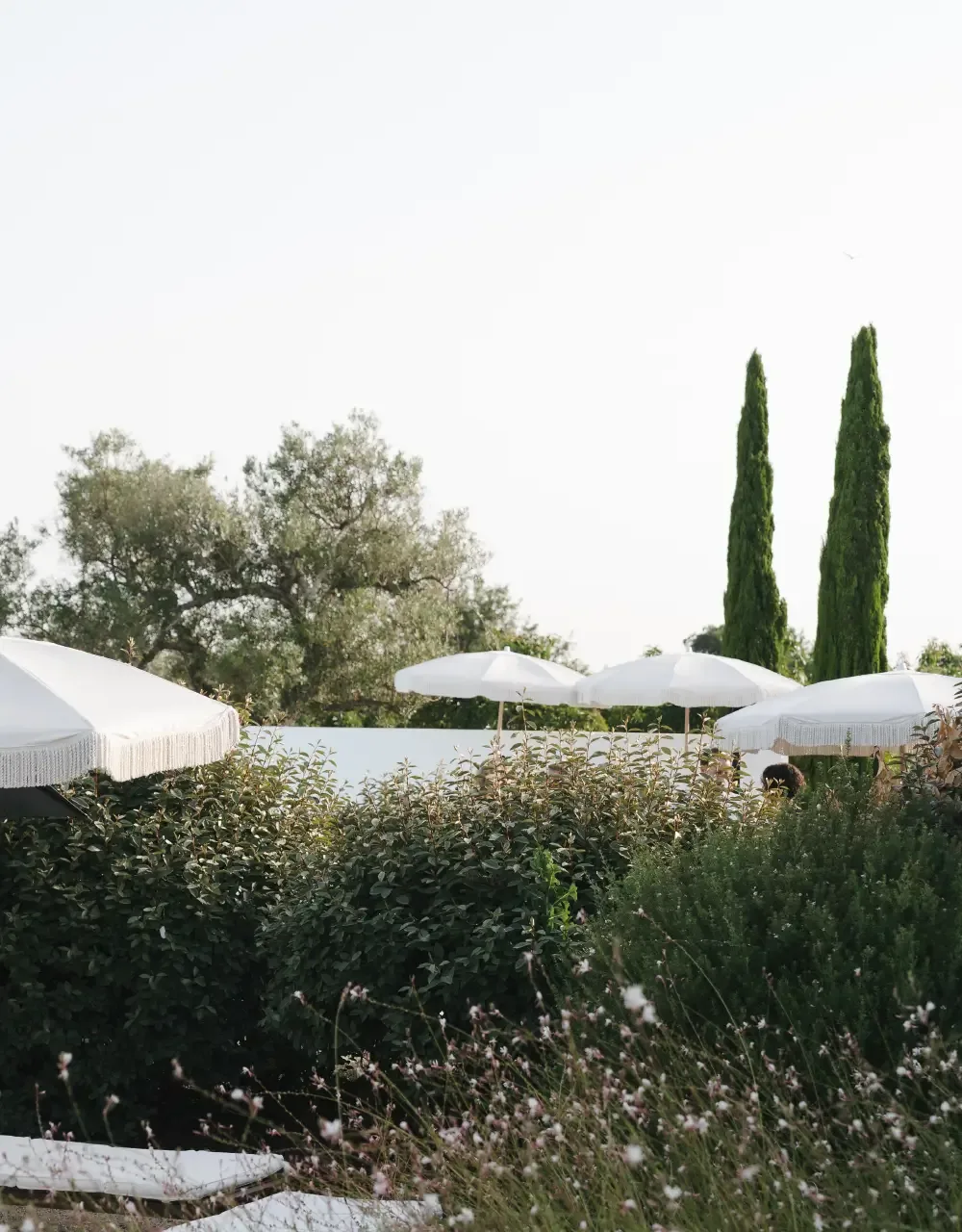 Representative hotel space: An outdoor garden with white umbrellas above dense shrubs and flowering plants.