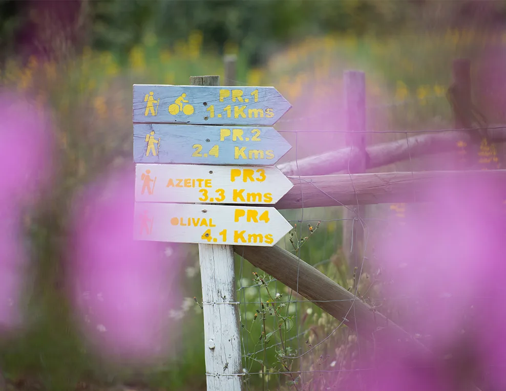 Representative hotel space: A wooden trail signpost stands among pink flowers beside a rural fence.