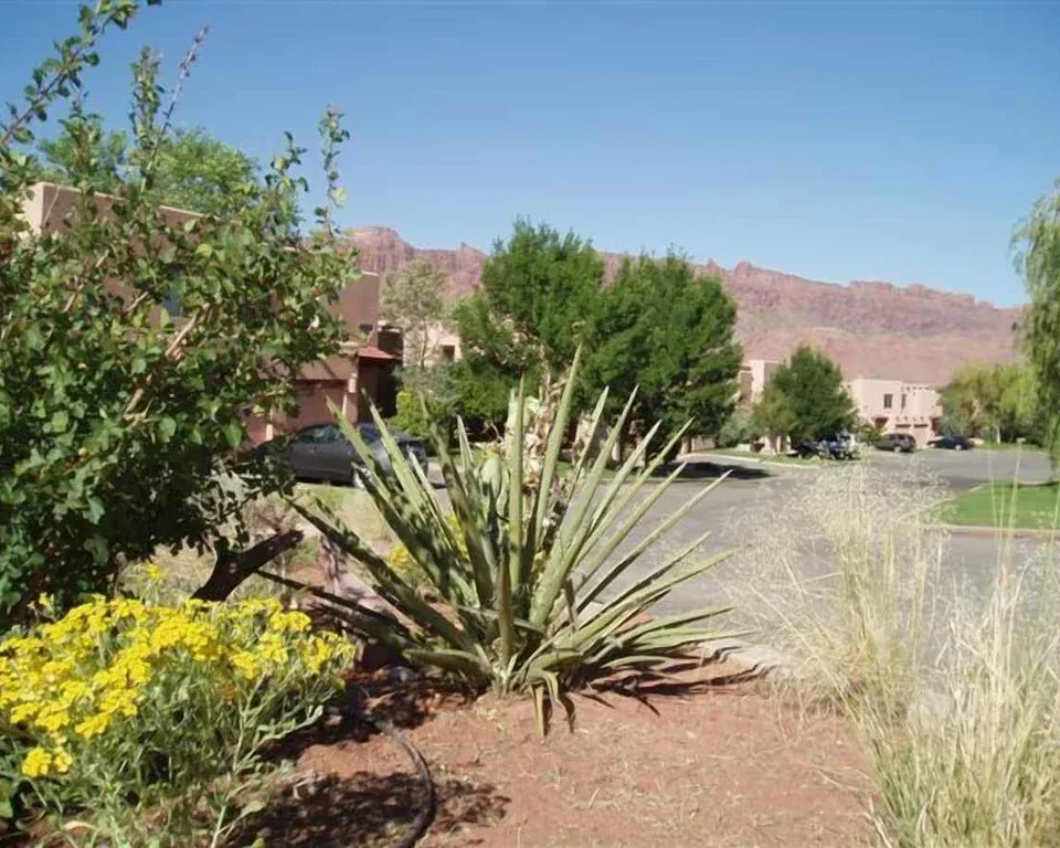 Shared amenity: A landscaped outdoor area with flowering plants, trees, and buildings in the background.