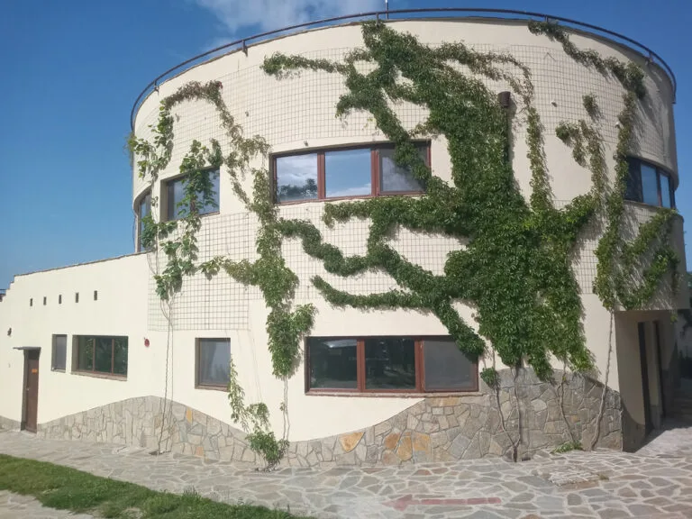 Espacio representativo del hotel: Una fachada de edificio redondeada está cubierta de vegetación trepadora.