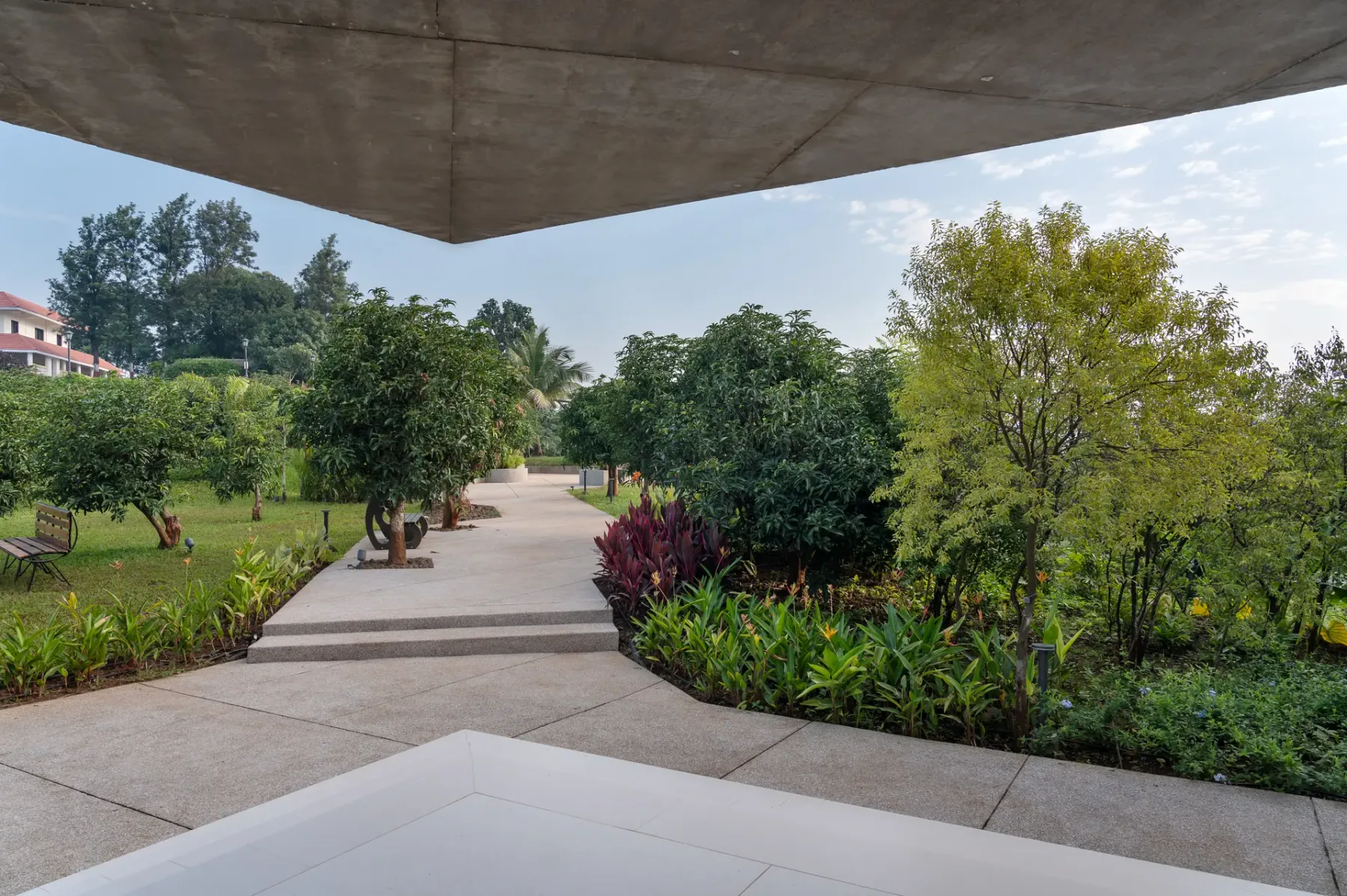 Un sendero pavimentado atraviesa un jardín entre plantas verdes y árboles.