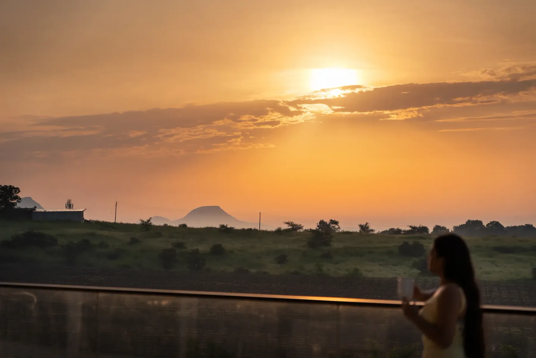 Una persona está junto a una barandilla con vista a un paisaje de hierba al atardecer.