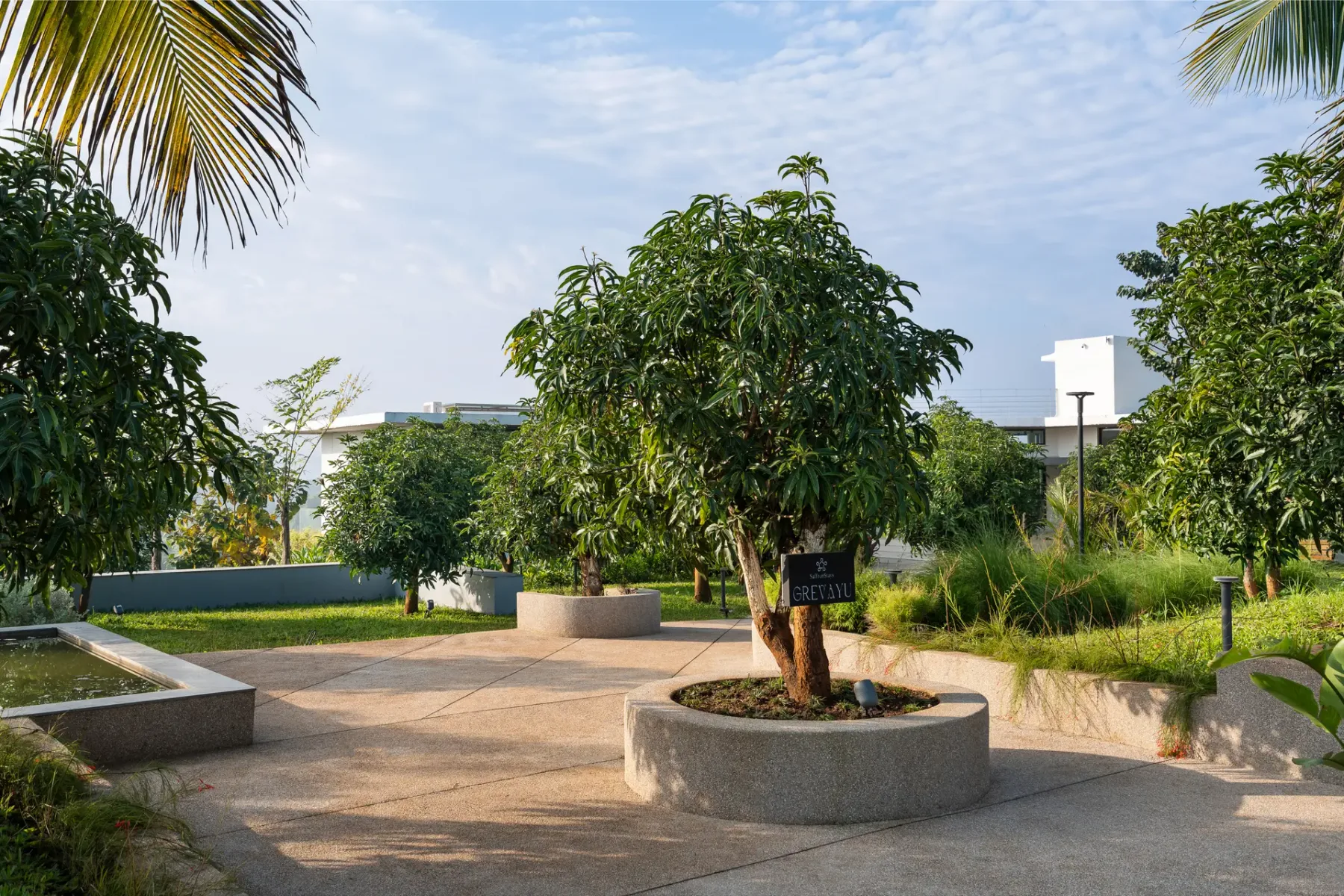 Un patio ajardinado con árboles, parterres y senderos pavimentados.