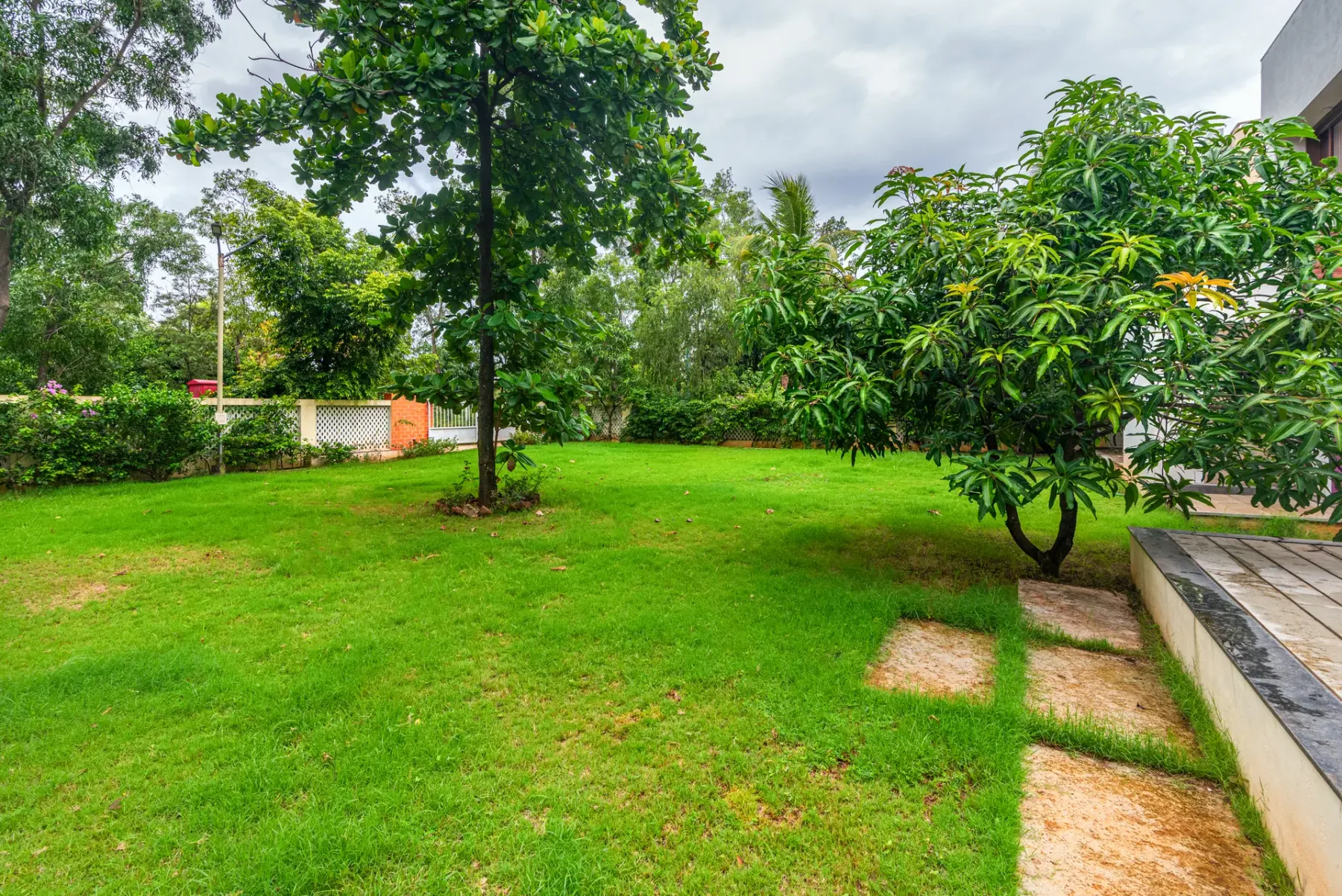 A green garden lawn with leafy trees and shrubs.