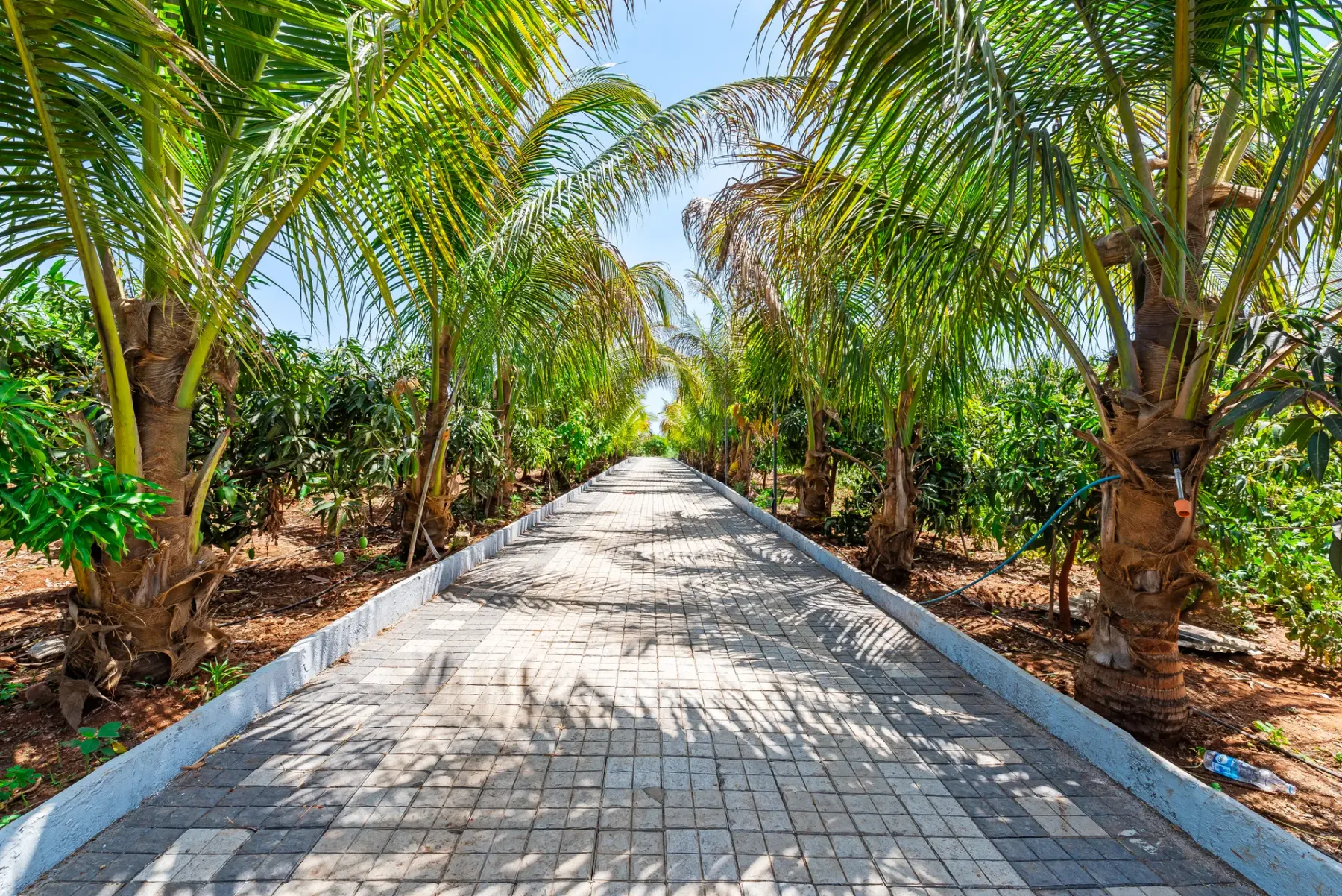 Mango Lakeview Villa