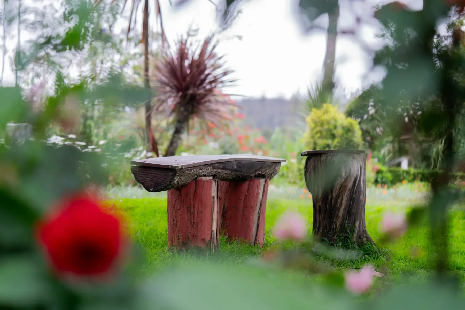 Un jardín con asientos rústicos de madera entre plantas verdes y flores.