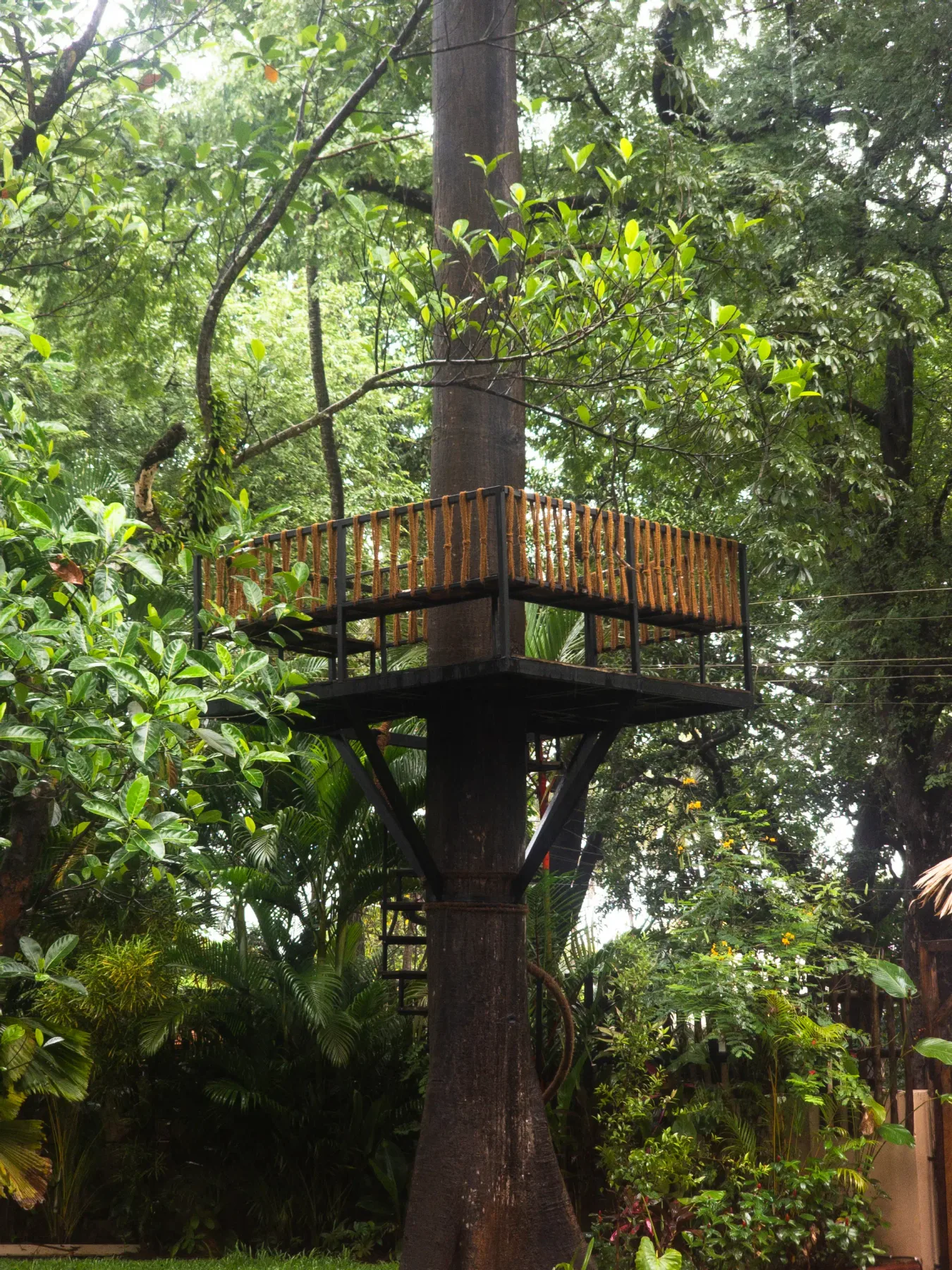Kapok House, Anjuna