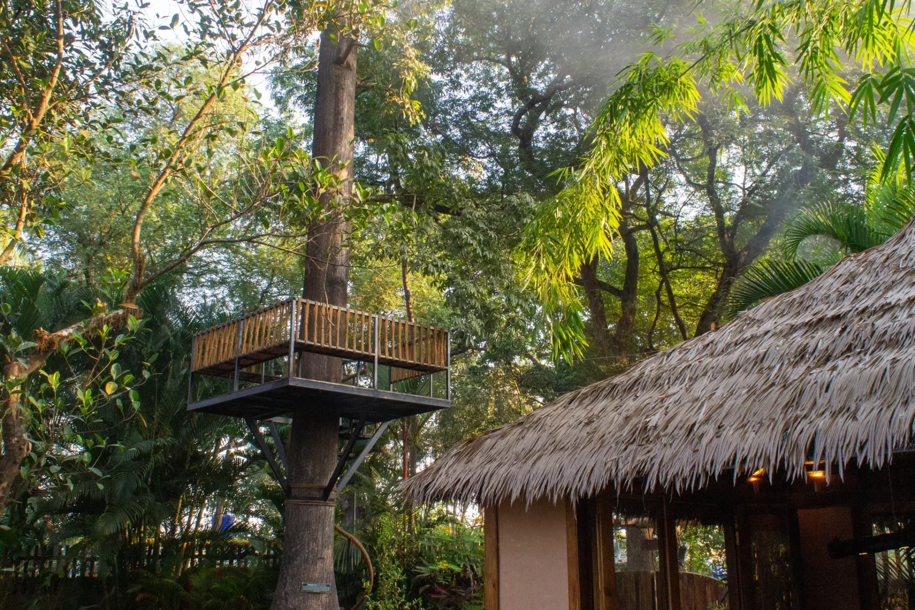 Kapok House, Anjuna
