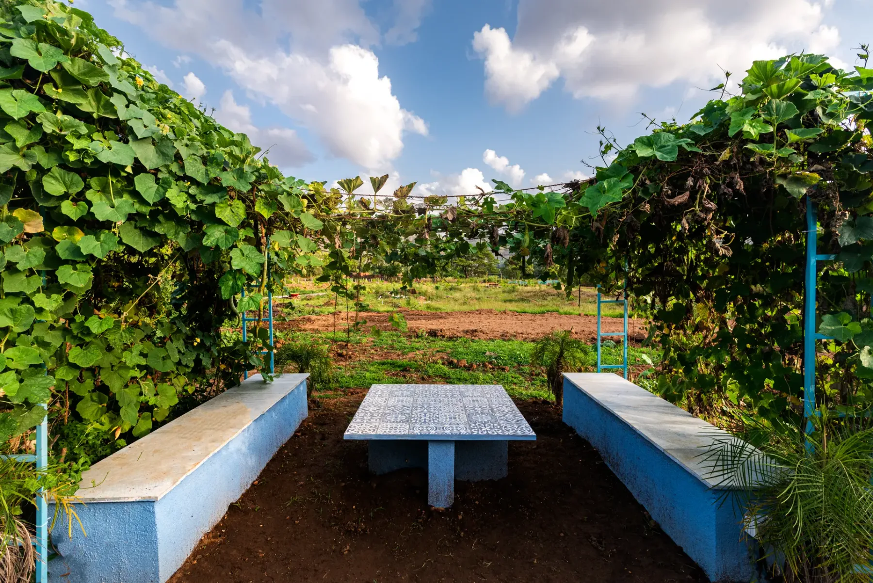 Vyom Farms