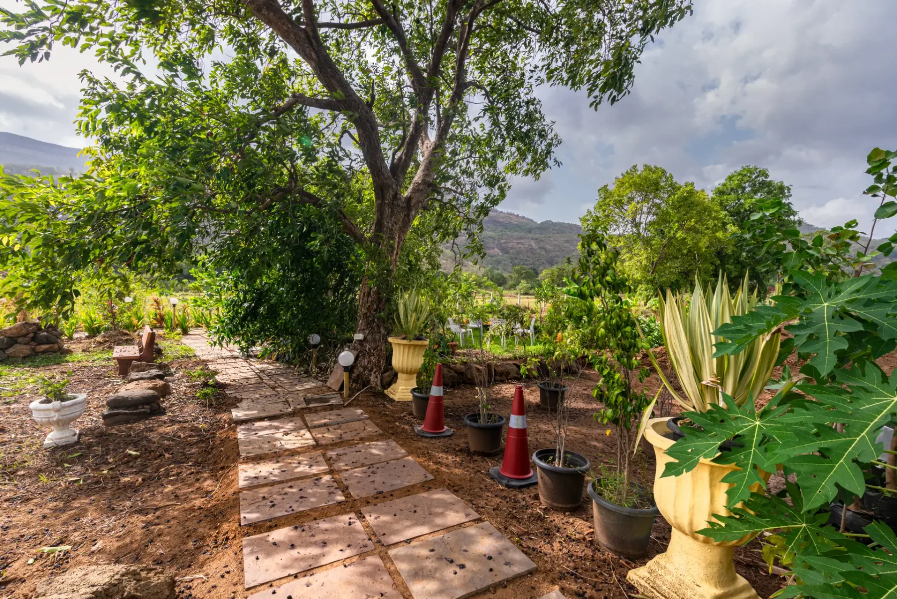 Vyom Farms