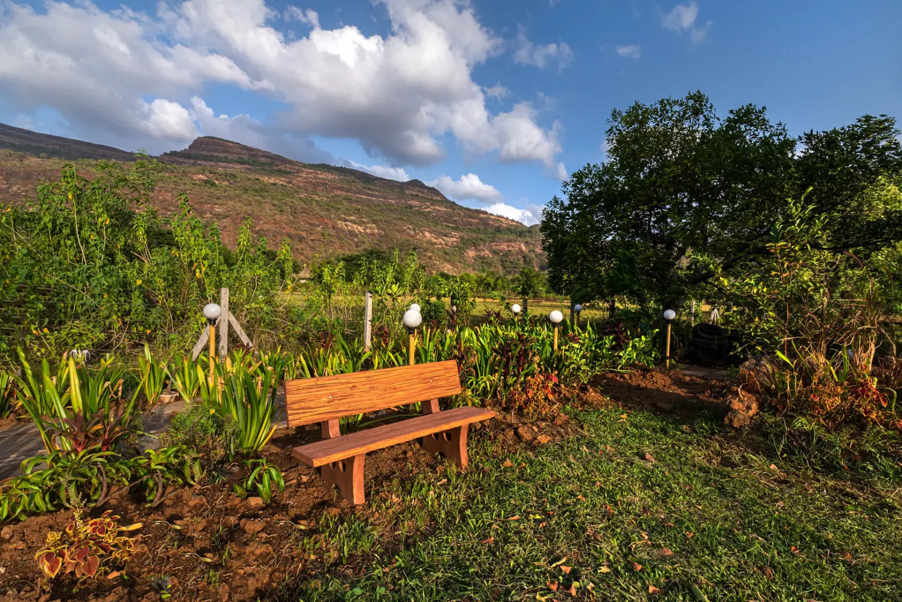 Vyom Farms