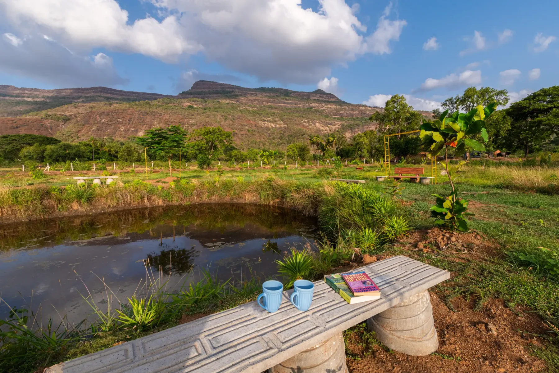 Vyom Farms