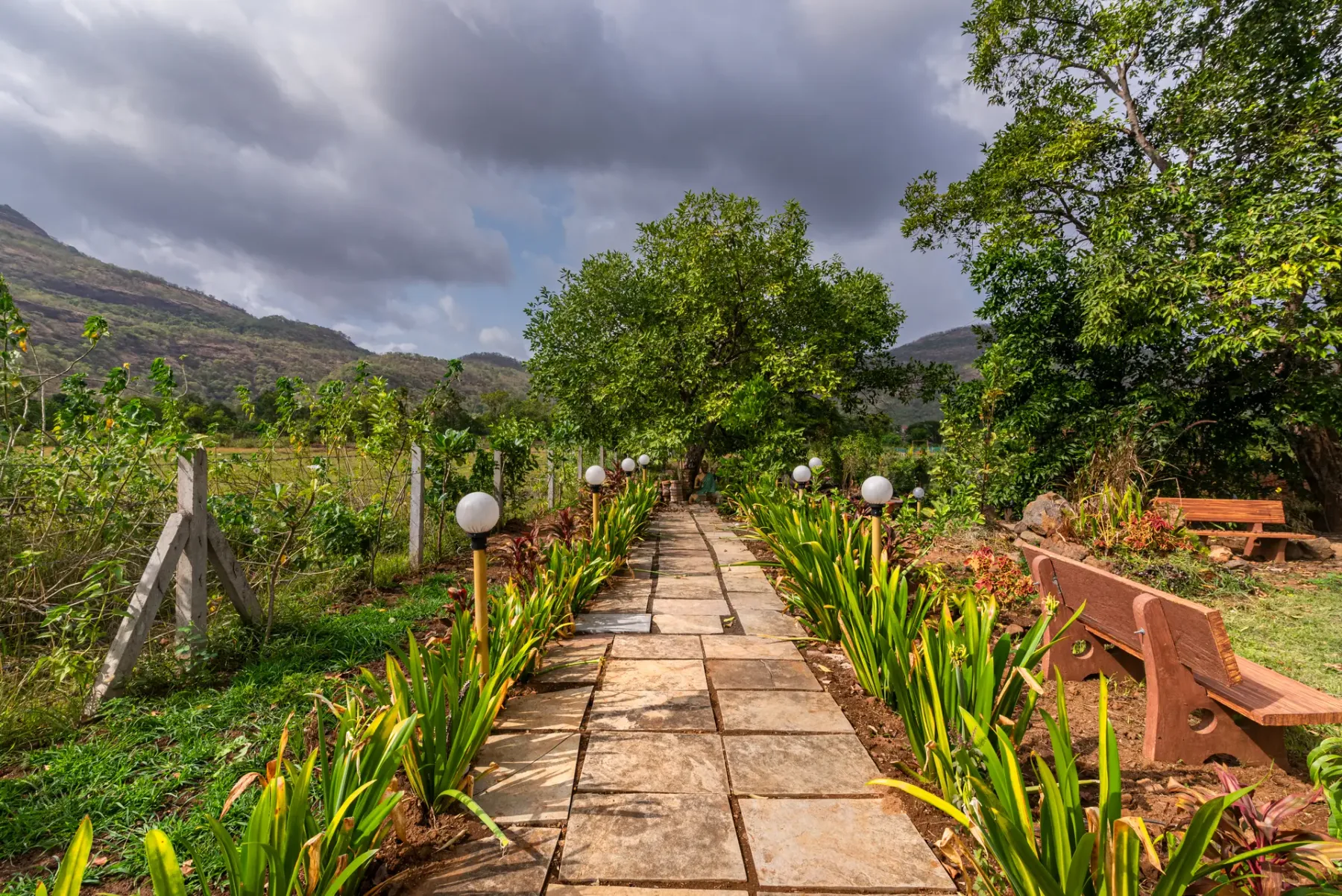 Vyom Farms