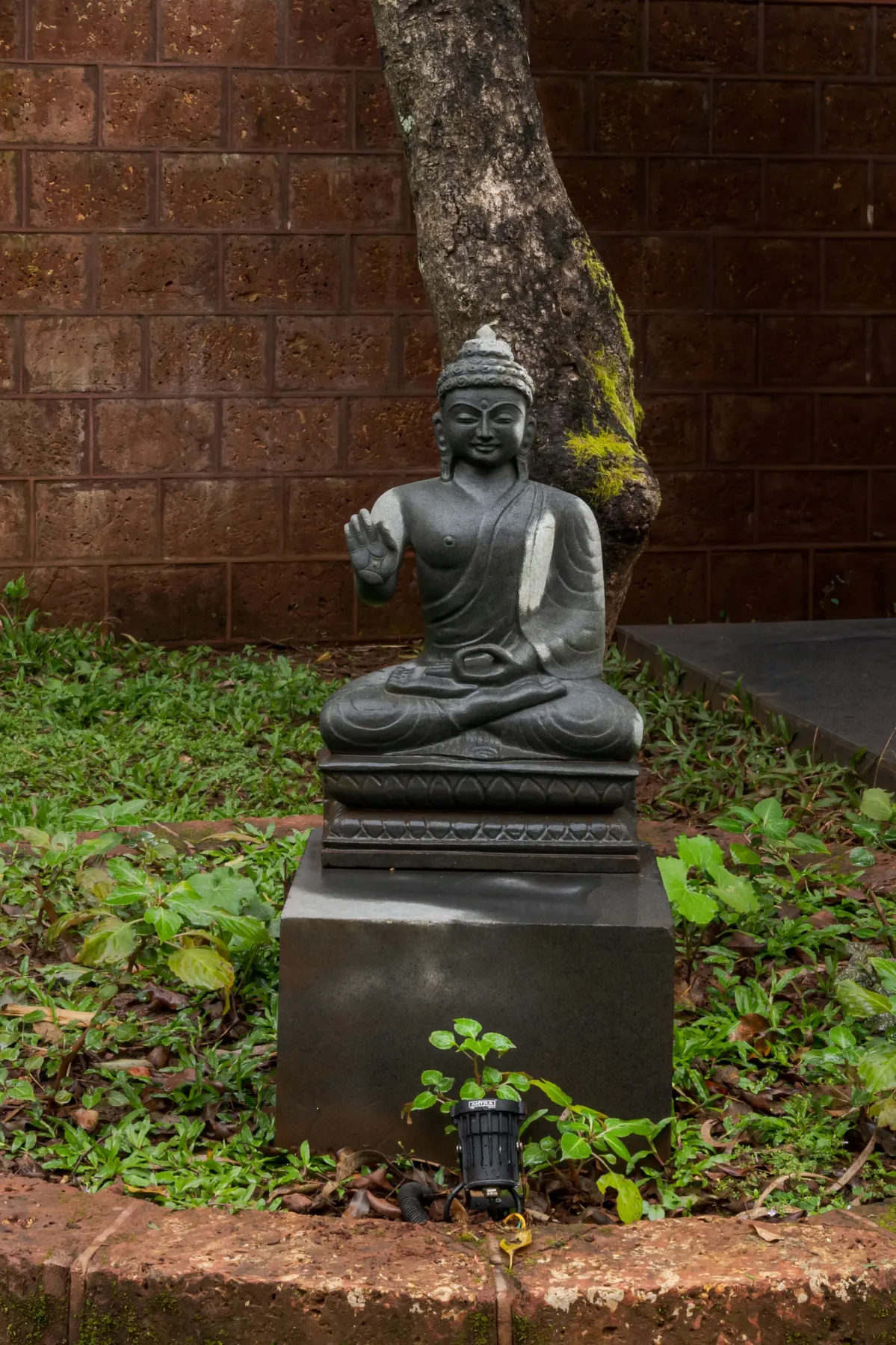 Shared amenity