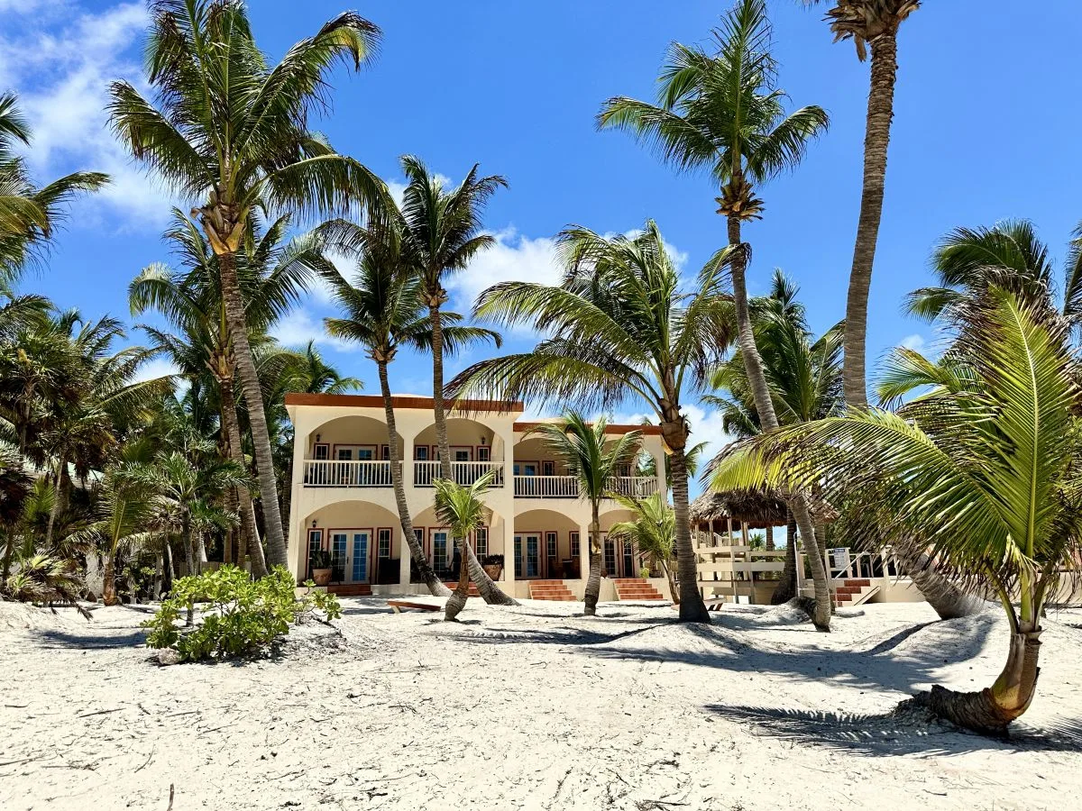 Shared amenity: A beachfront building stands among palm trees beside a sandy shore.