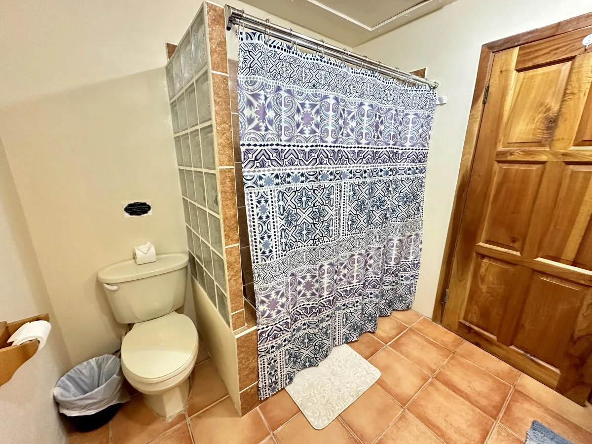A bathroom with a patterned shower curtain, toilet, and tiled floor.