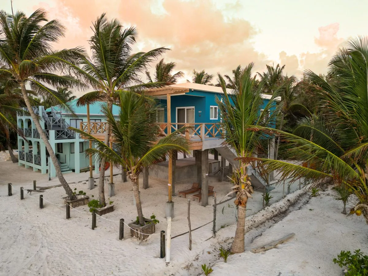 A raised blue beach house stands among palm trees on sandy ground.
