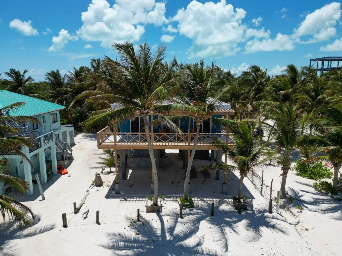 Aerial view of a beachfront building among palm trees on sandy ground.