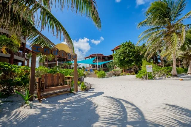 Zona común: Un sendero de arena pasa entre vegetación tropical y conduce a un edificio junto a la playa.