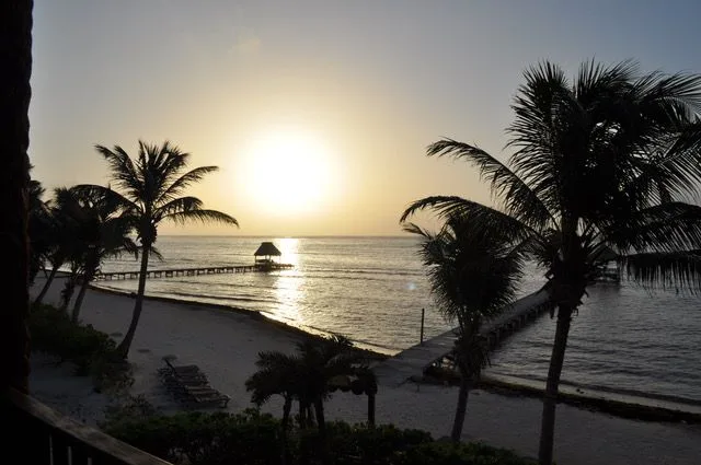 Una costa tropical al atardecer, con palmeras junto al agua tranquila.