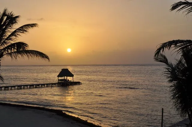 Zona común: Una playa tropical al atardecer, con palmeras enmarcando la vista del océano.