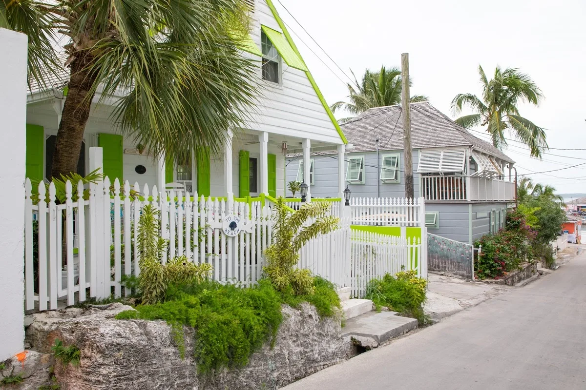 Cotton Tree