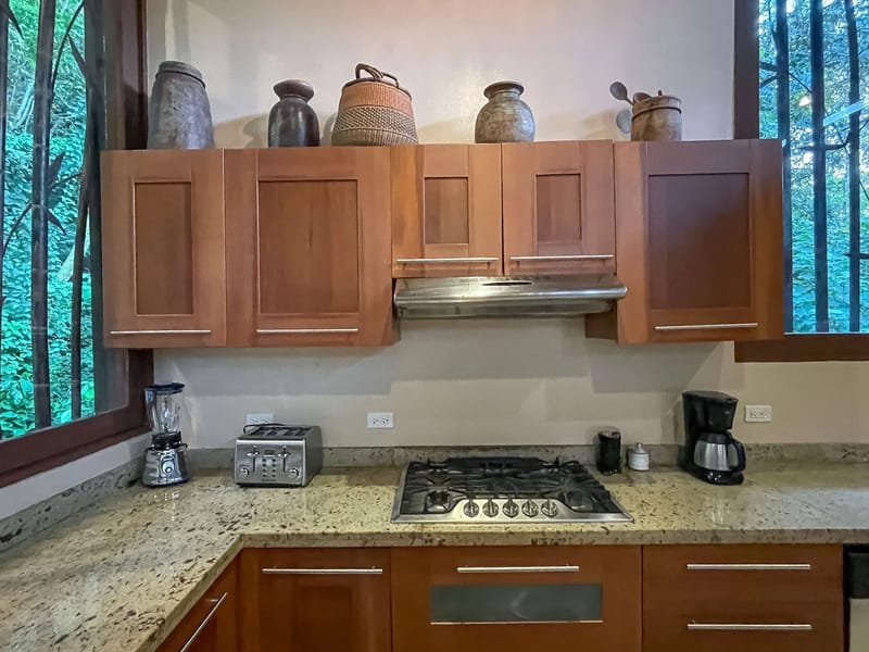 Villa Michelina · 9. A Balinese-inspired kitchen features hand-carved wooden cabinets, granite countertops, and large windows offering a jungle canopy view with ample natural light.
