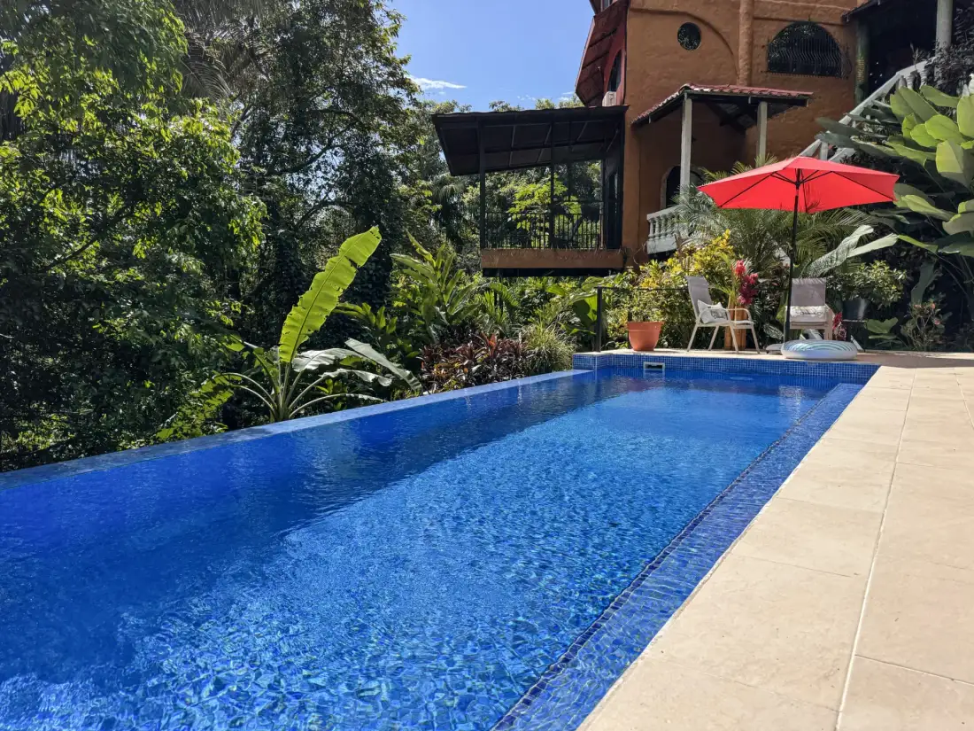 A swimming pool beside a landscaped garden and a building.