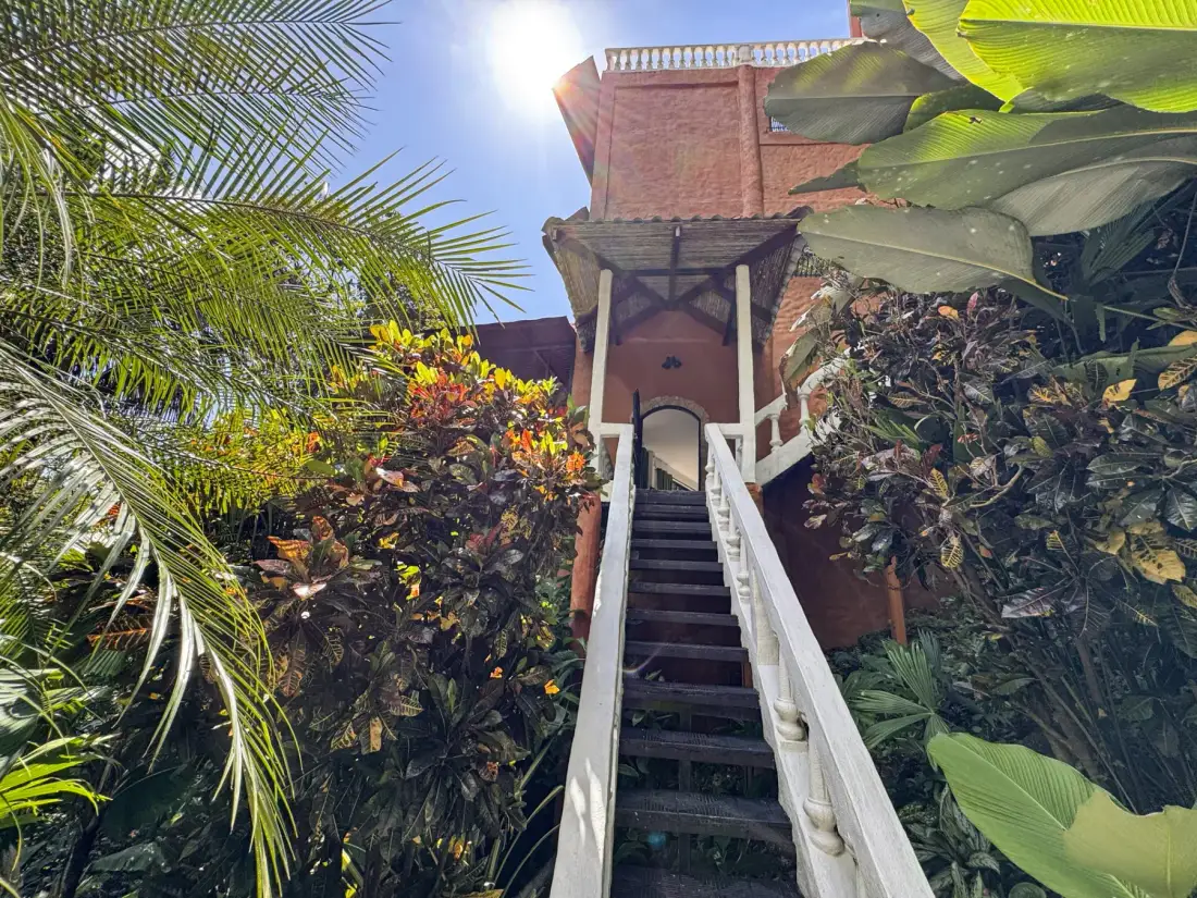 An outdoor staircase rises through dense tropical foliage toward a building entrance.