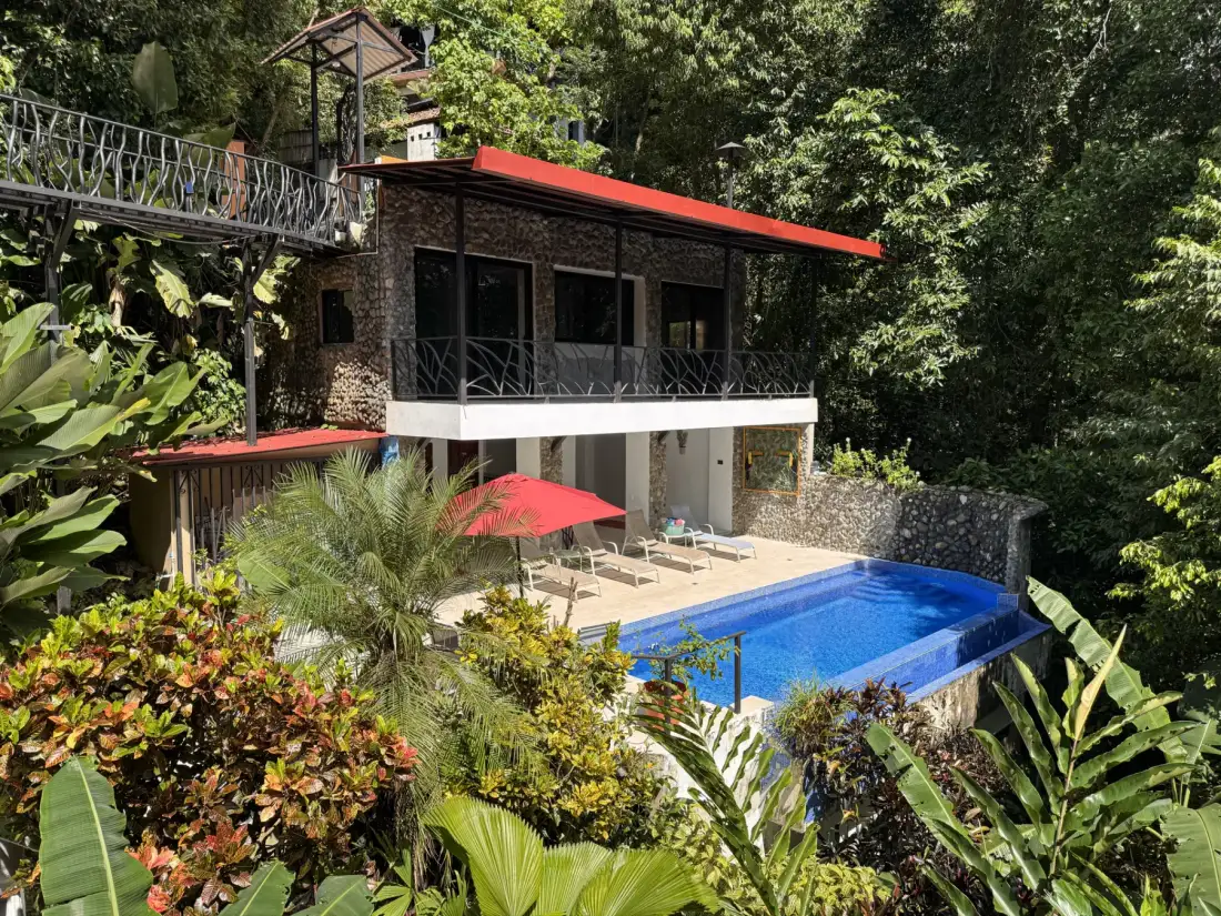 A house with a swimming pool sits among dense tropical greenery.