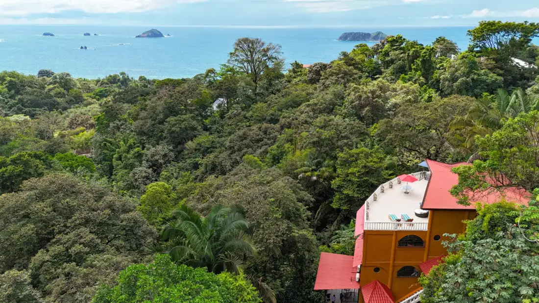 Aerial view of a colorful building among dense trees, with the sea beyond.