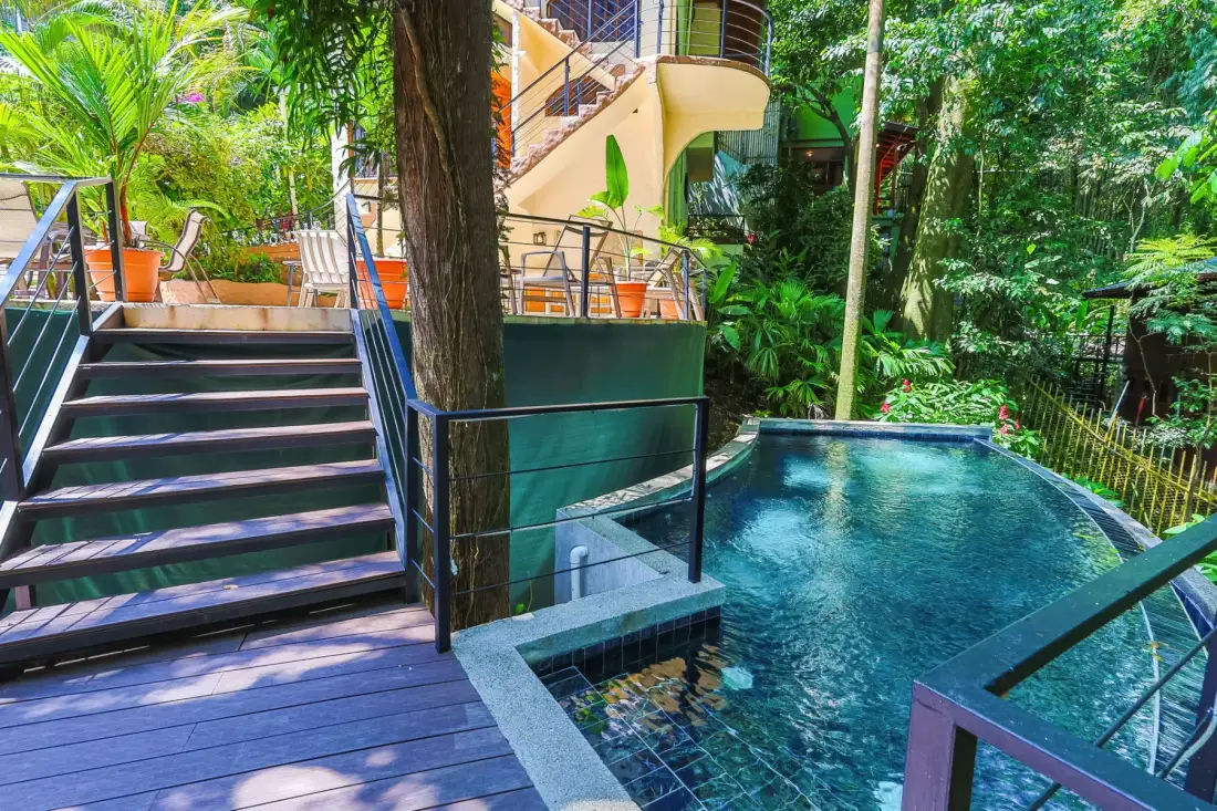 A swimming pool sits beside a wooden deck and stairs amid tropical greenery.