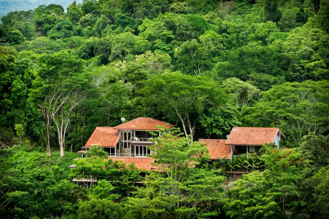 Un conjunto de edificios con techos rojos se encuentra entre árboles frondosos.
