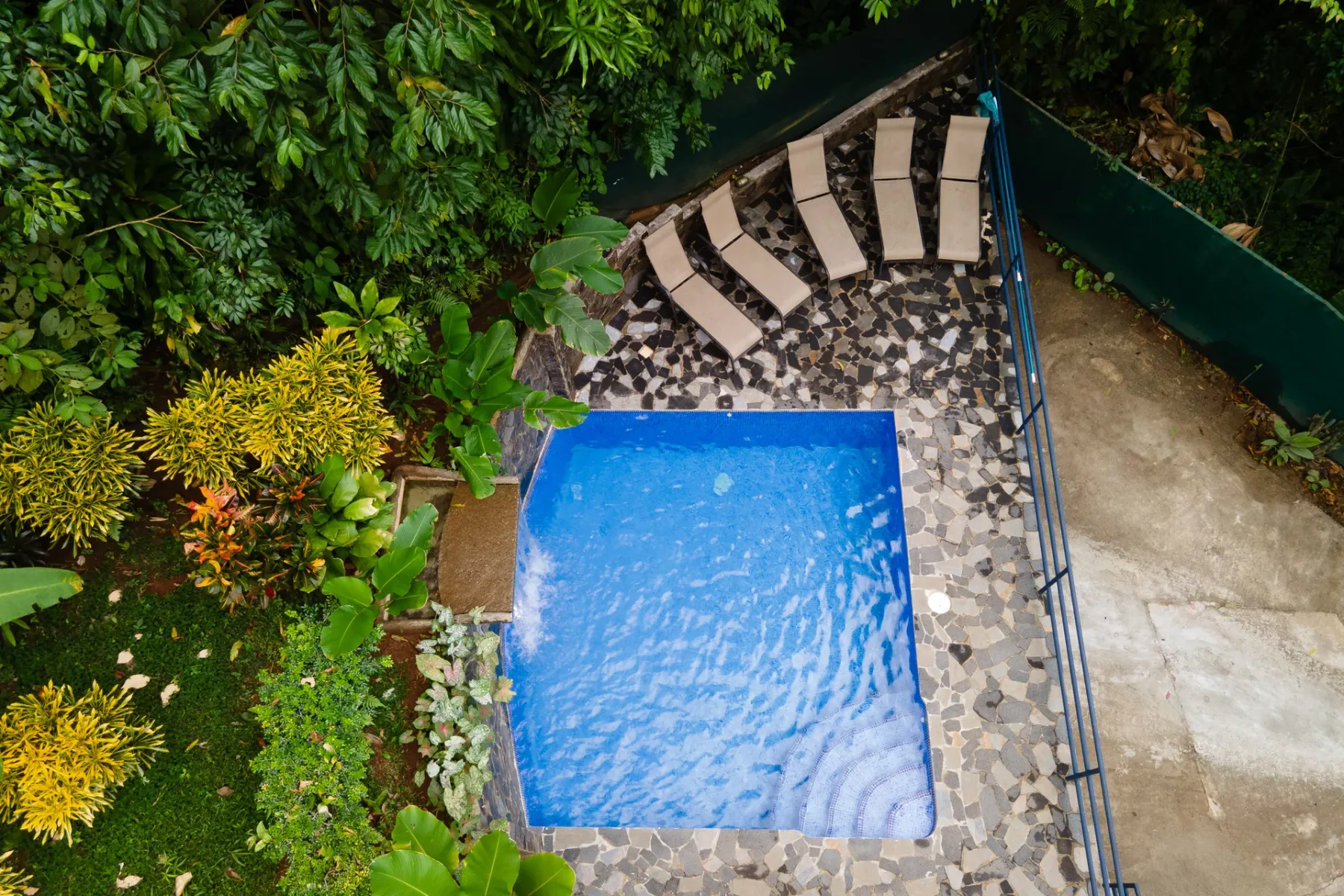 A small outdoor pool sits beside a paved patio surrounded by greenery.