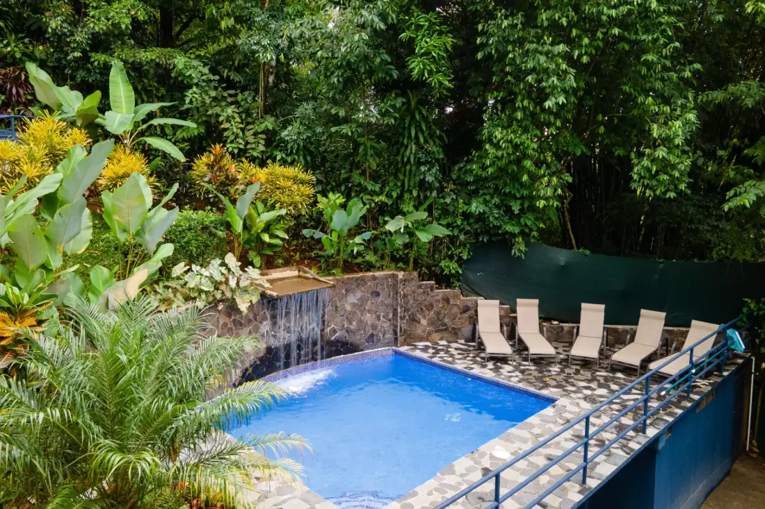 An outdoor swimming pool is surrounded by lush greenery and lounge seating.