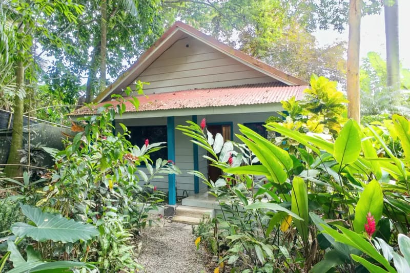Casa Colibrí · 18. Casa Colibrí