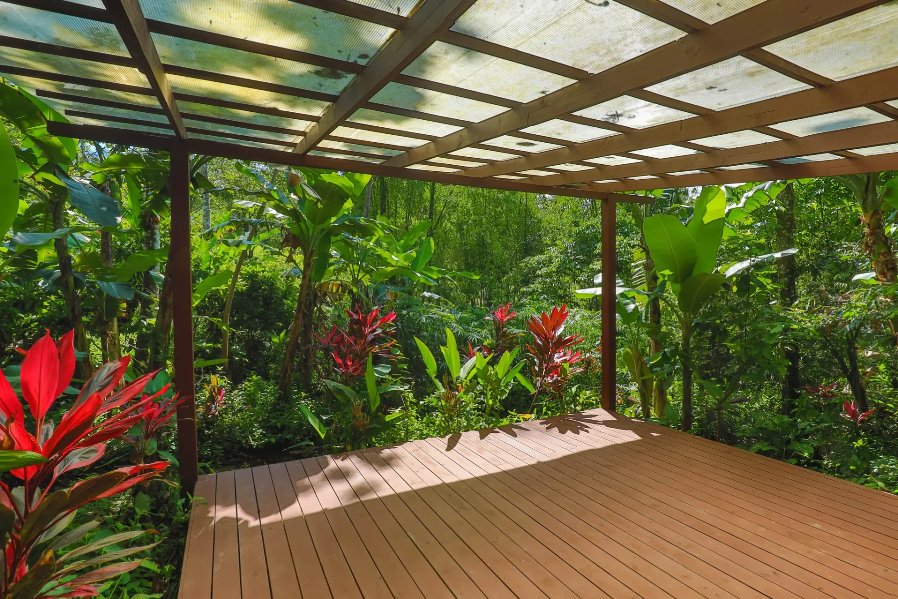 Una terraza de madera bajo una pérgola da a una frondosa vegetación tropical.