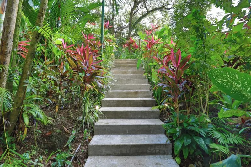 Villa Mariana (Propiedad completa) · 54. Villa Mariana (Propiedad completa)