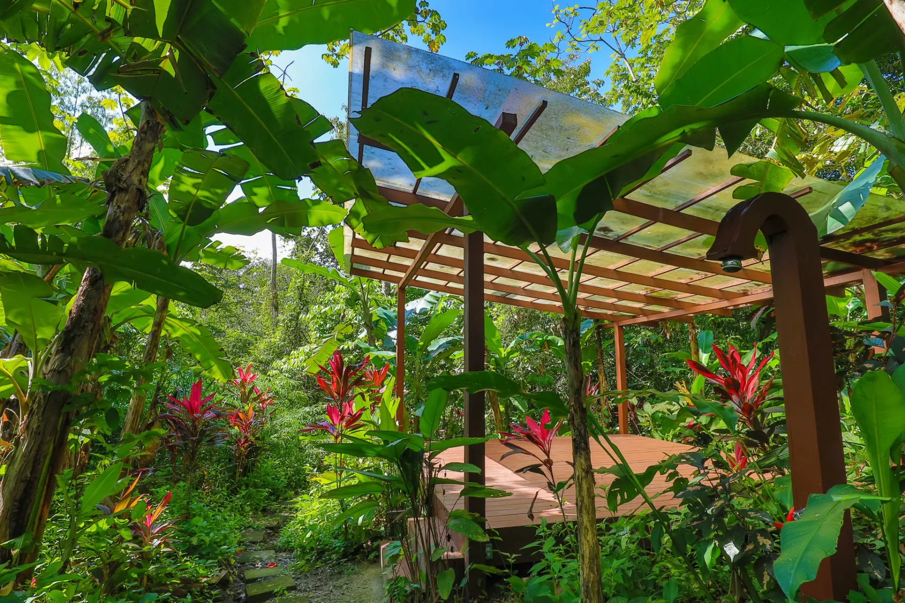 Una pérgola de madera está rodeada de exuberantes plantas tropicales.