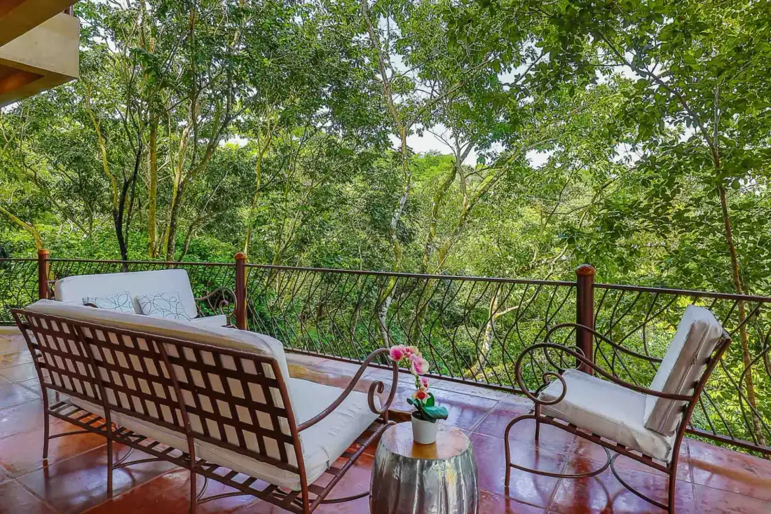A terrace with outdoor seating overlooks a leafy wooded area.