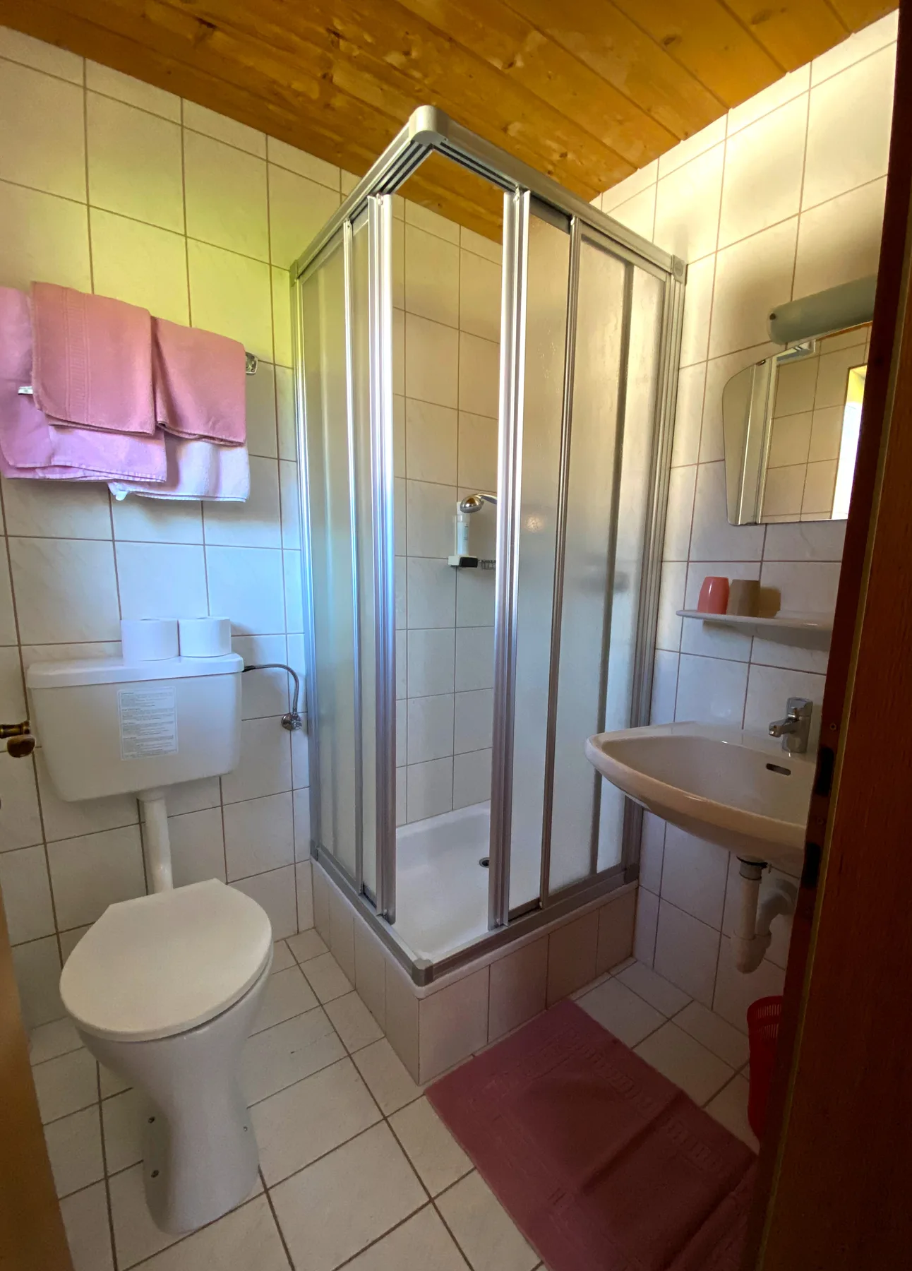 Baño con azulejos, ducha, inodoro y lavabo.