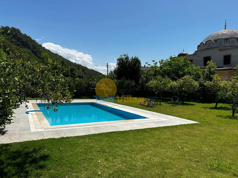 Villa Dolphin