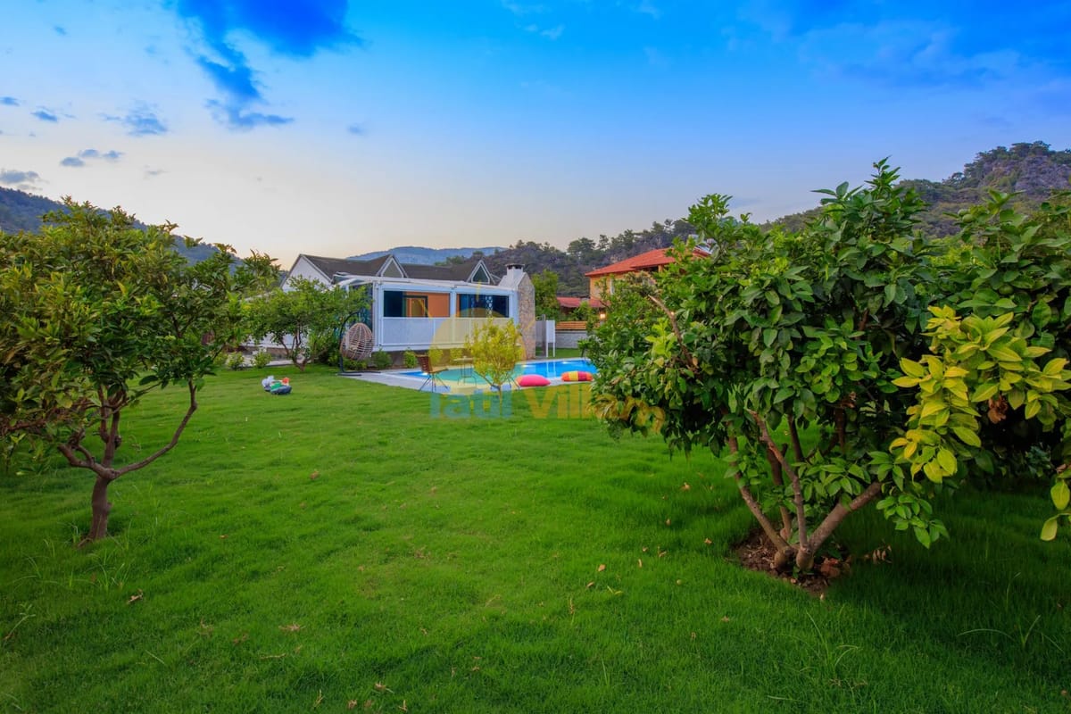 Villa Dolphin