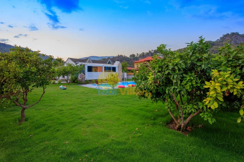 Villa Dolphin