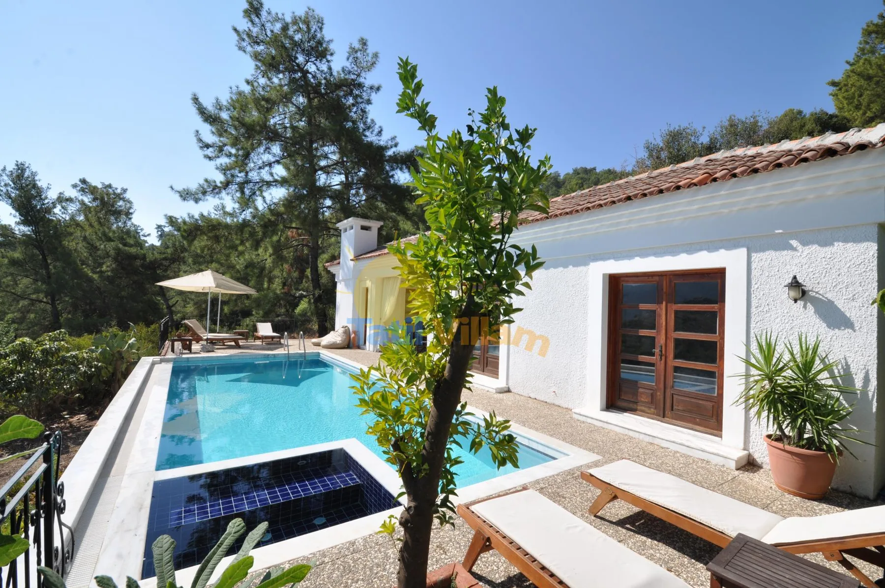 A swimming pool beside a white house, with lounge chairs in the sunny garden.