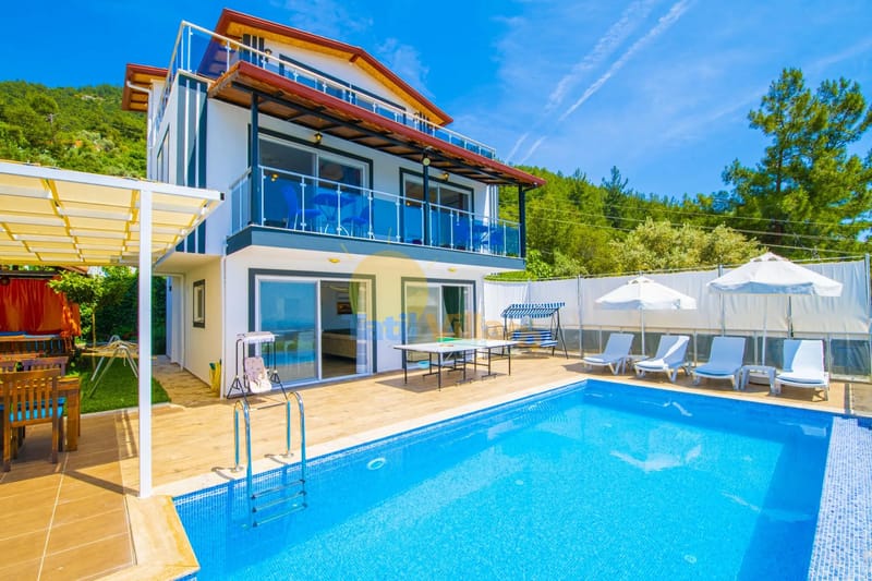 Villa Doğal property photo